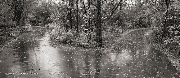 Fork in the path