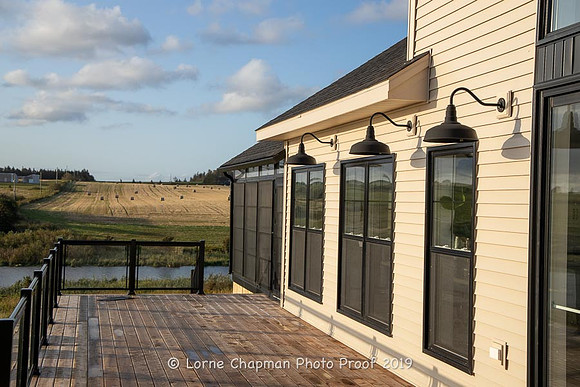 20190913-3171.jpg