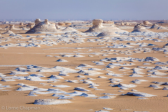 The White Desert