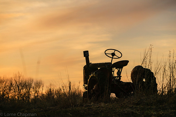 Old Tractor