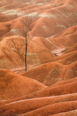 Cheltenham Badlands