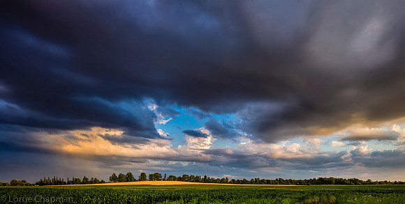 Elgin Mills Rd Pano