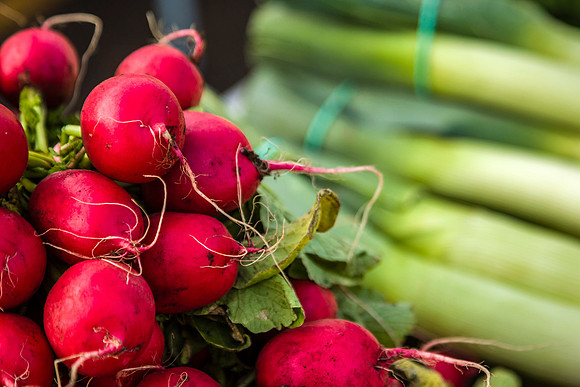 radishes and leeks