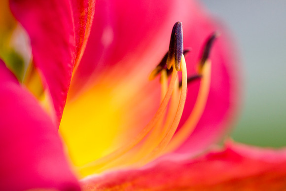 20130714-0398