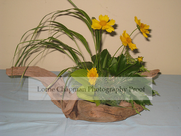 Hort Best in Design, Doris FJ