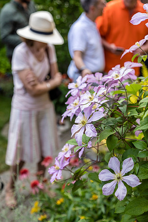 180713-6118.jpg