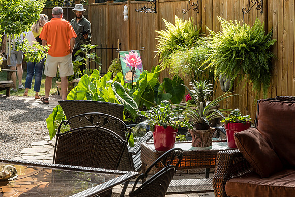 180713-6053.jpg