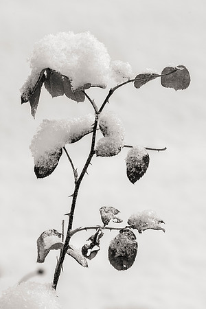 180117-2160.jpg