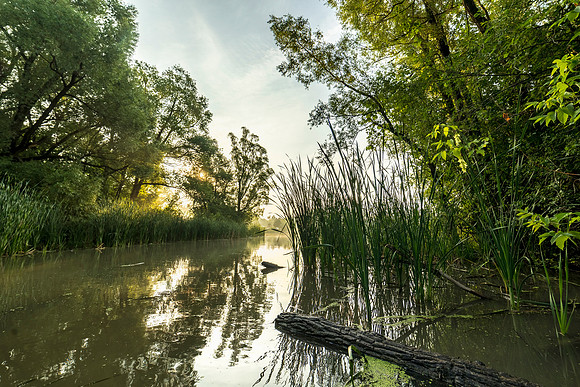 180730-2045-HDR.jpg