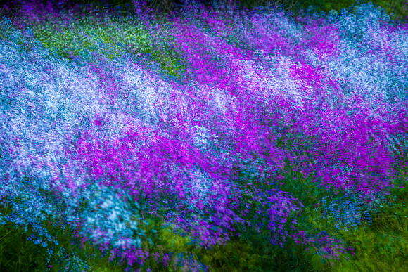 130605-0882-Edit.jpg